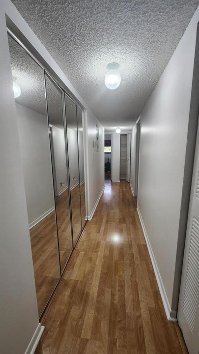 No carpet here!