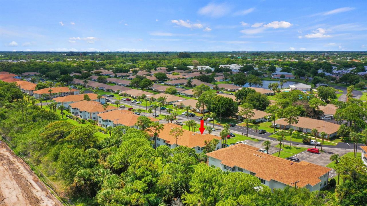 COMMUNITY VIEW