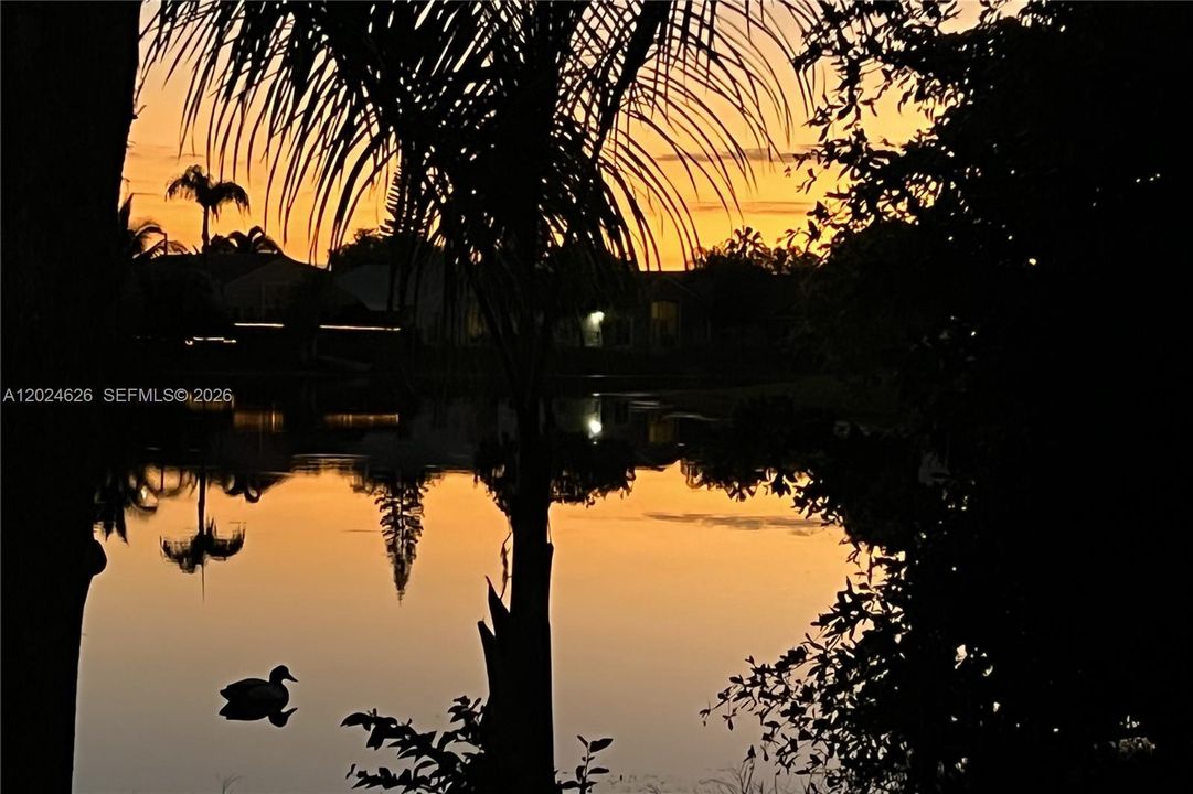 Night View...Deck Sunsets