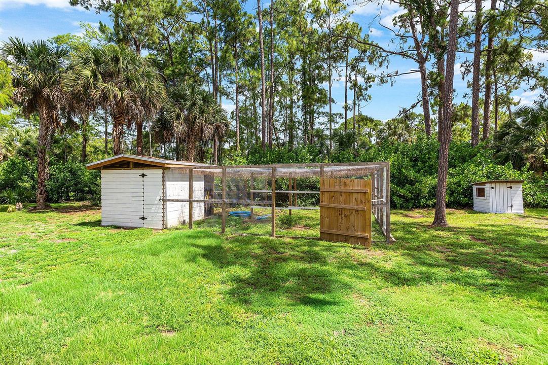 Chicken Coop