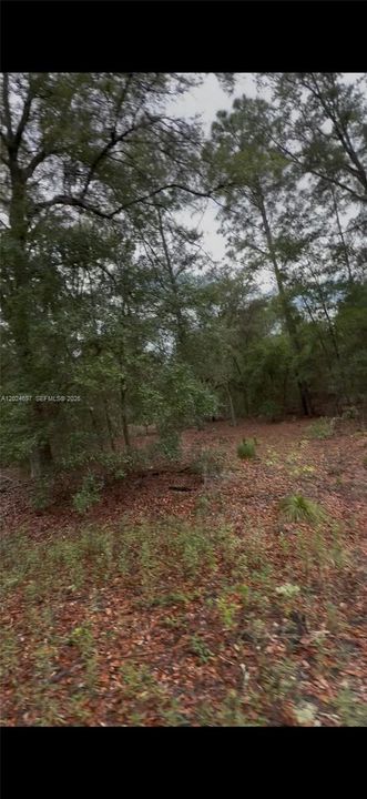 待售: $26,000 (135.00 acres)