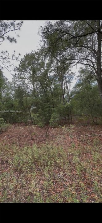 待售: $26,000 (135.00 acres)