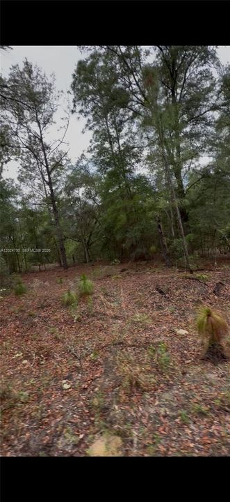 En Venta: $26,000 (135.00 acres)