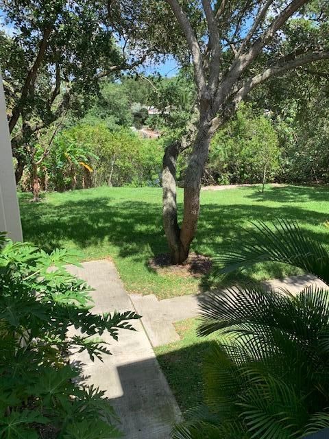 Oaks view photo
