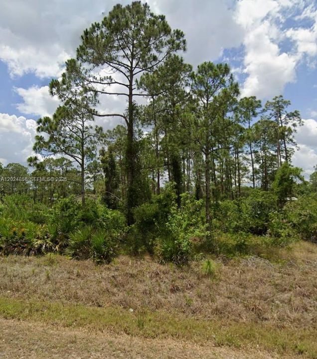 На продажу: $35,000 (0.50 acres)