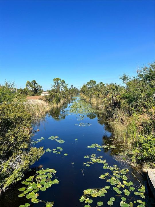 На продажу: $41,000 (0.24 acres)