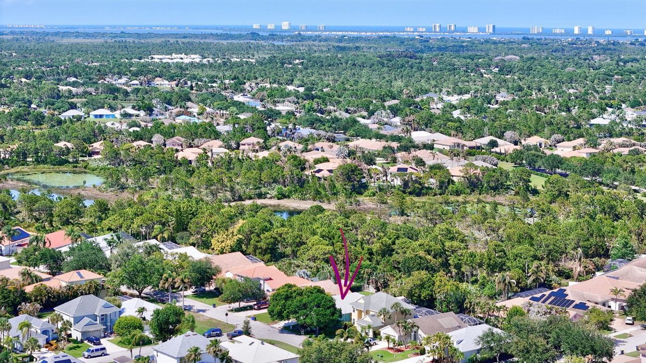 Drone View