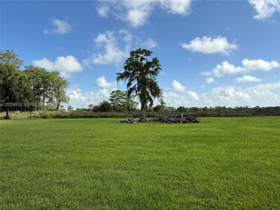 For Sale: $50,000 (1.00 acres)