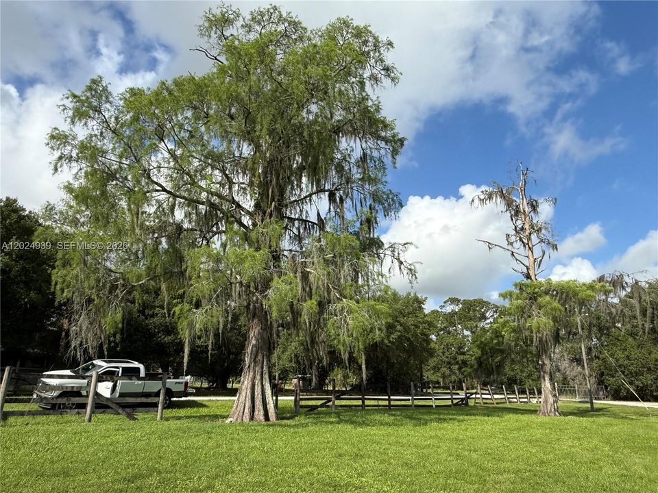 For Sale: $50,000 (1.00 acres)