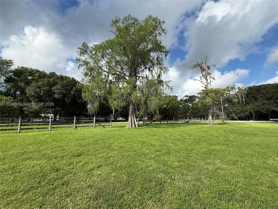 For Sale: $50,000 (1.00 acres)