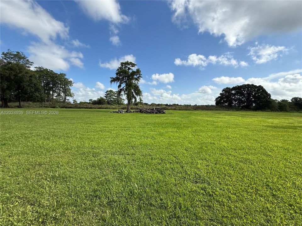 For Sale: $50,000 (1.00 acres)