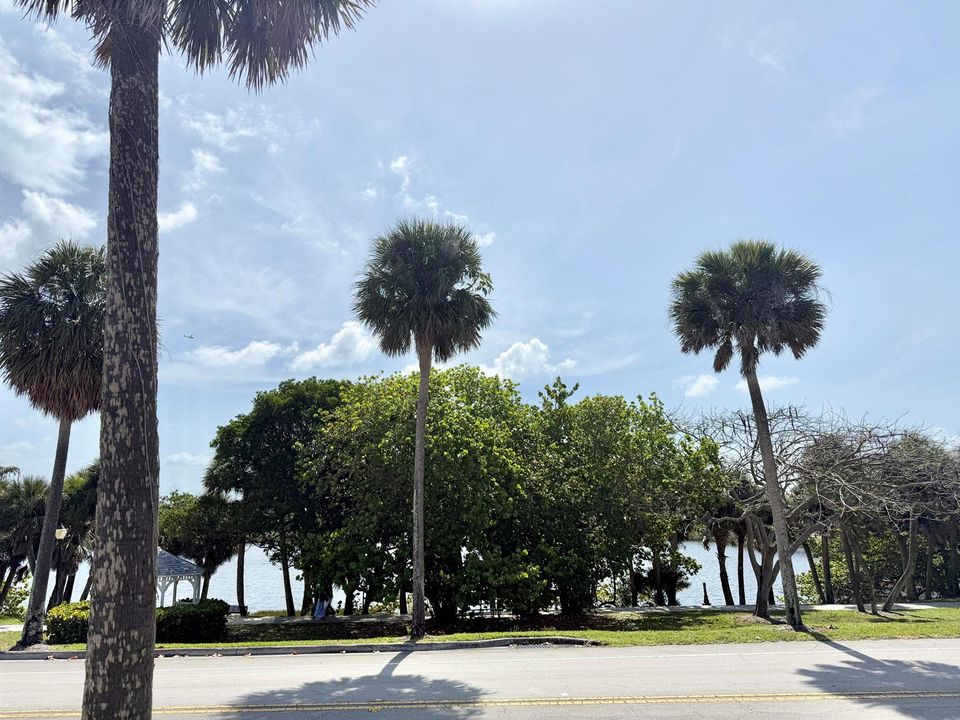Lake view