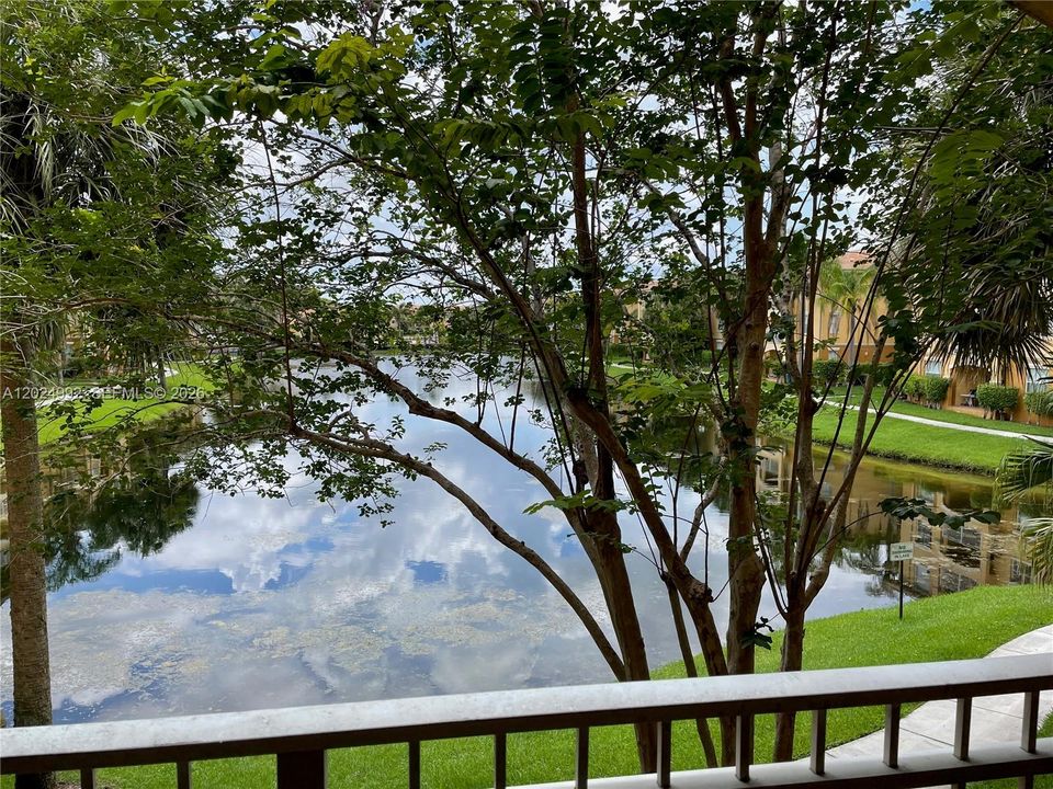 For Rent: $2,300 (2 beds, 2 baths, 1000 Square Feet)
