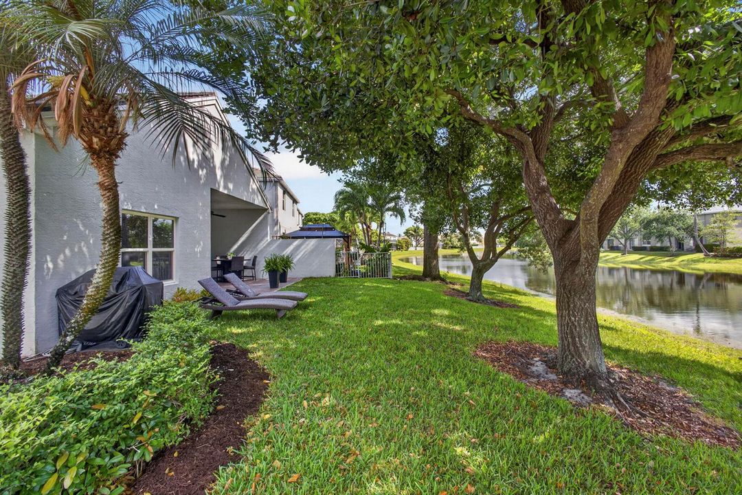 Yard View