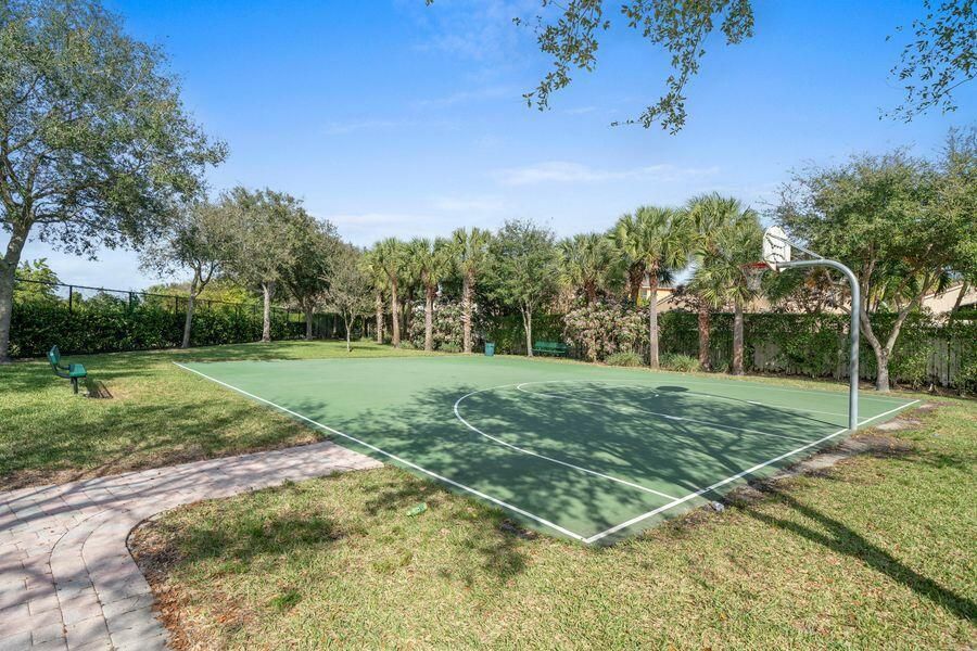Basketball Court