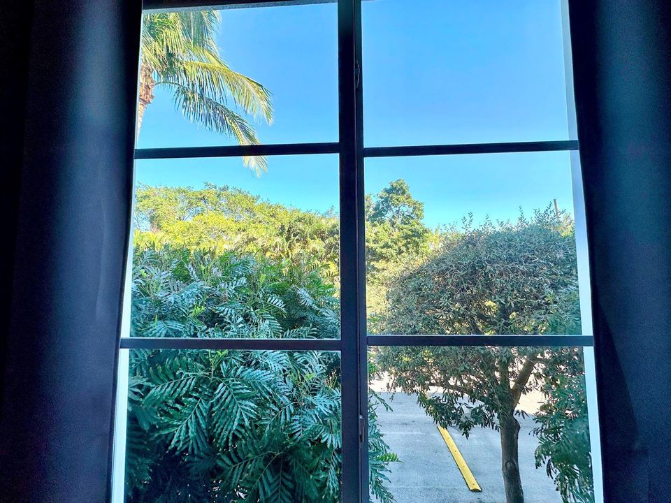 View from Bedroom