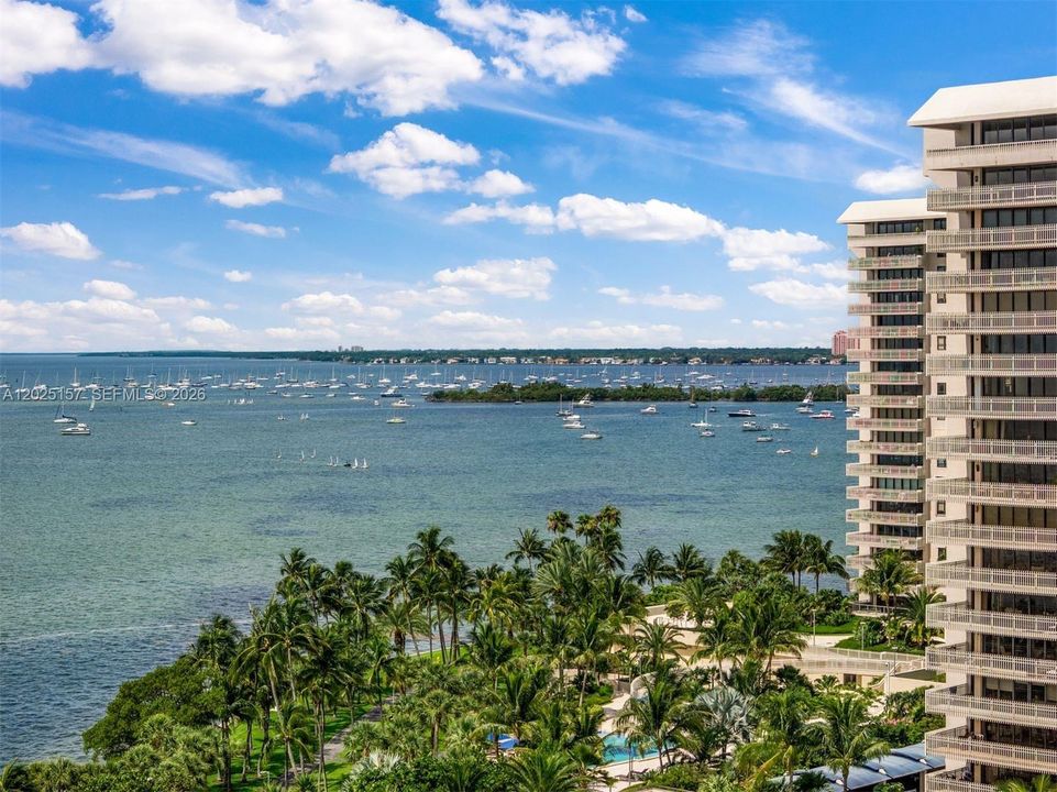 Coconut Grove views