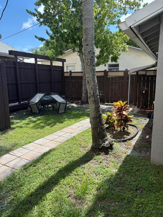 backyard