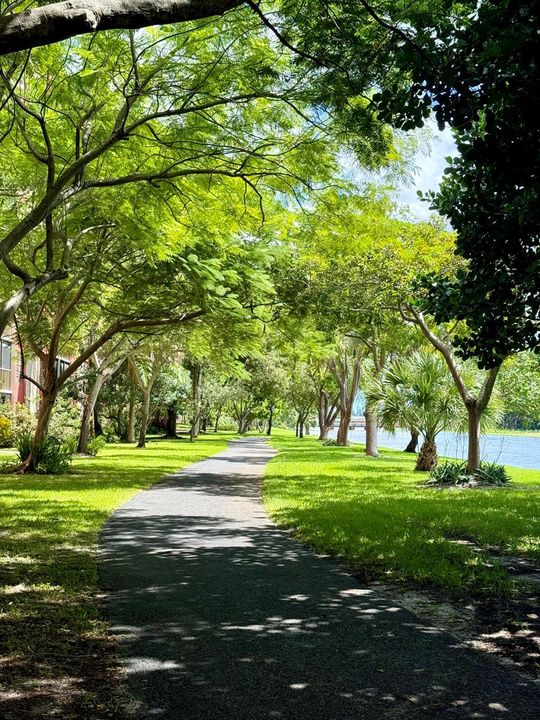 Walking Trail