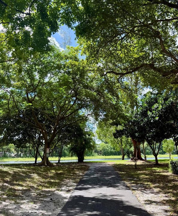 Walking Trail