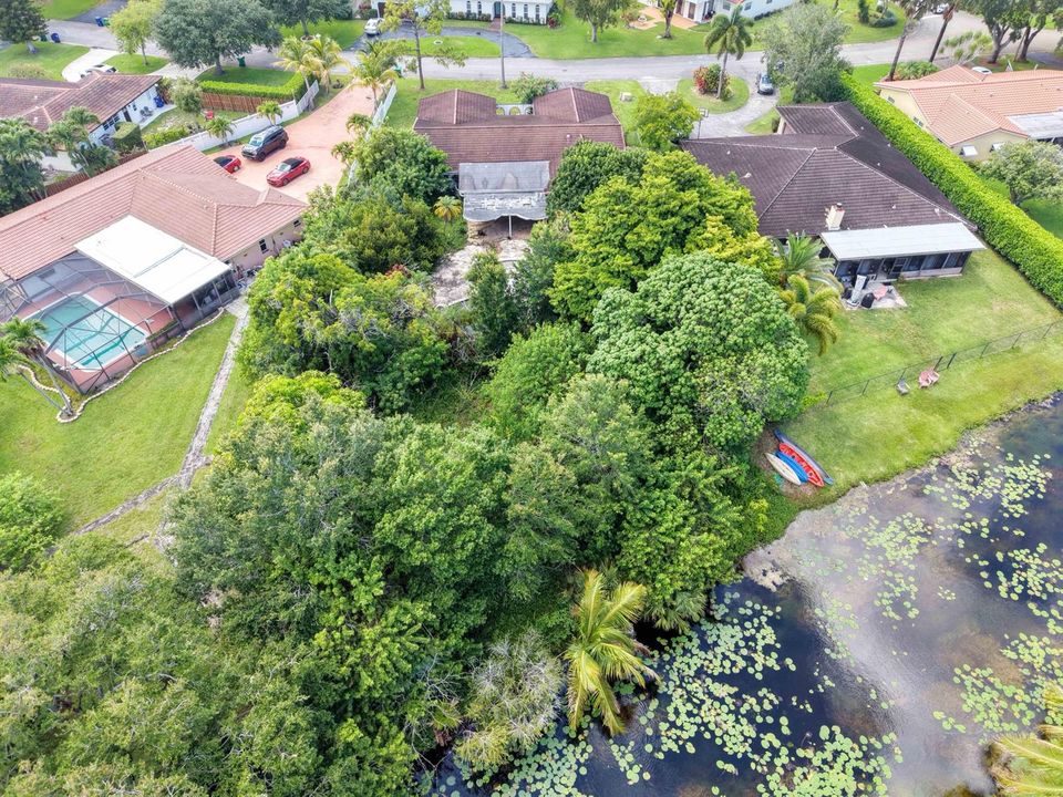 Bird Eye Rear
