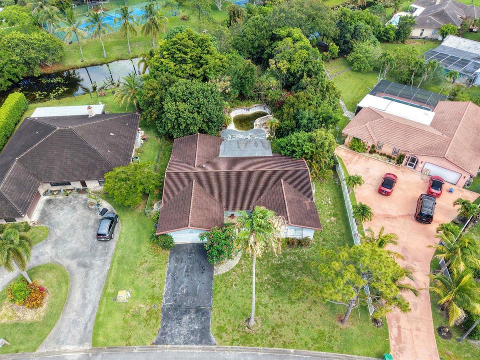 Bird Eye Front