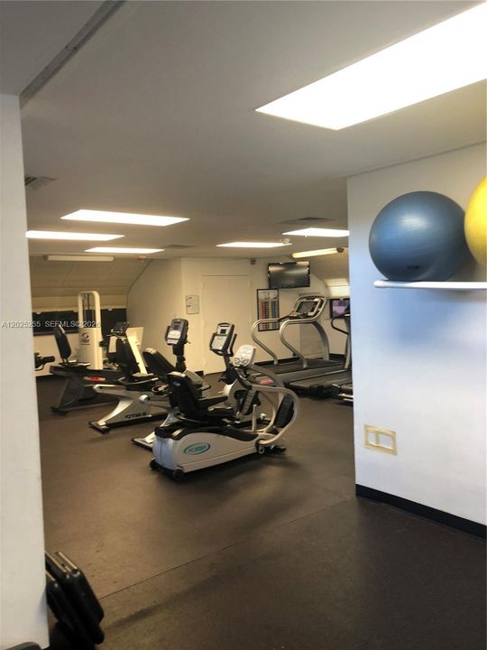 GYM