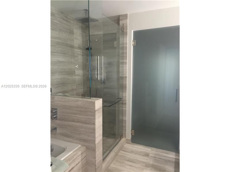 Master Bathroom shower/jaccuzzi