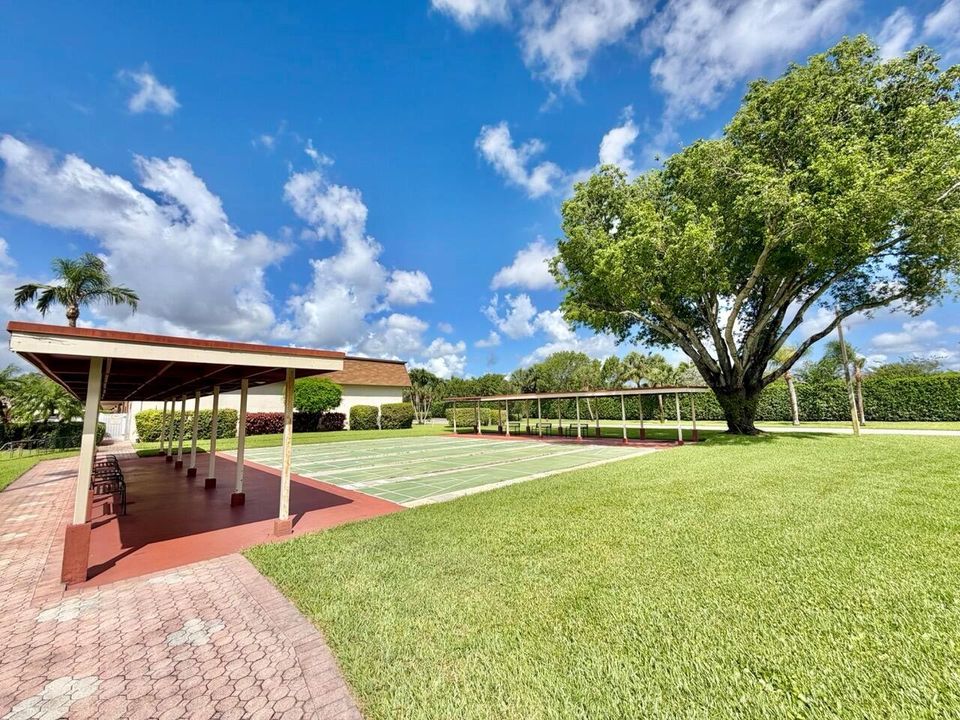 Shuffleboard Court
