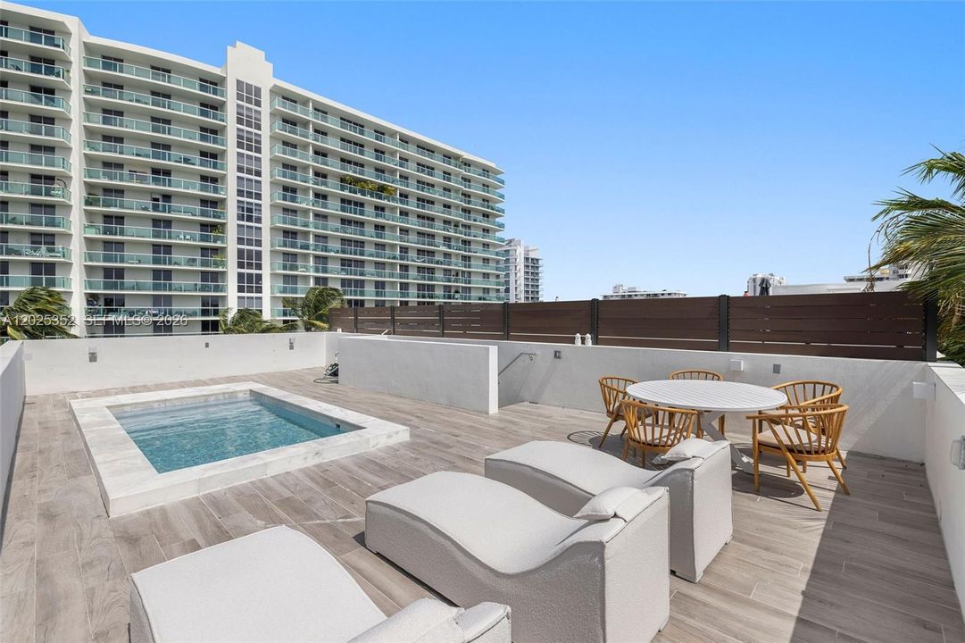 Rooftop with Plunge Pool