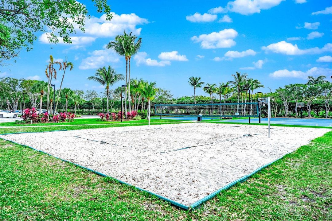 Sand Volleyball