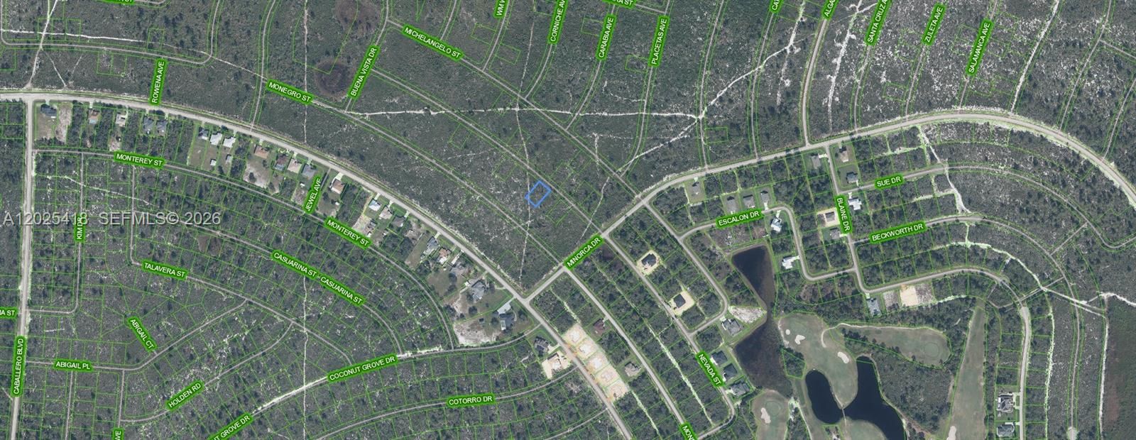For Sale: $19,900 (0.23 acres)