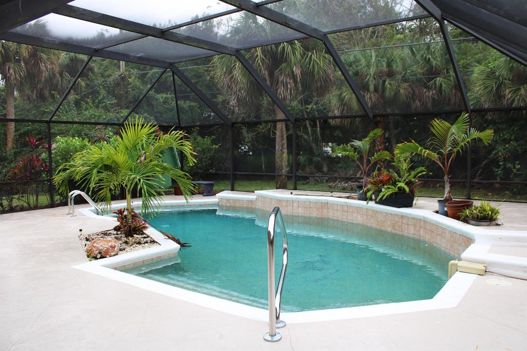pool-palermino