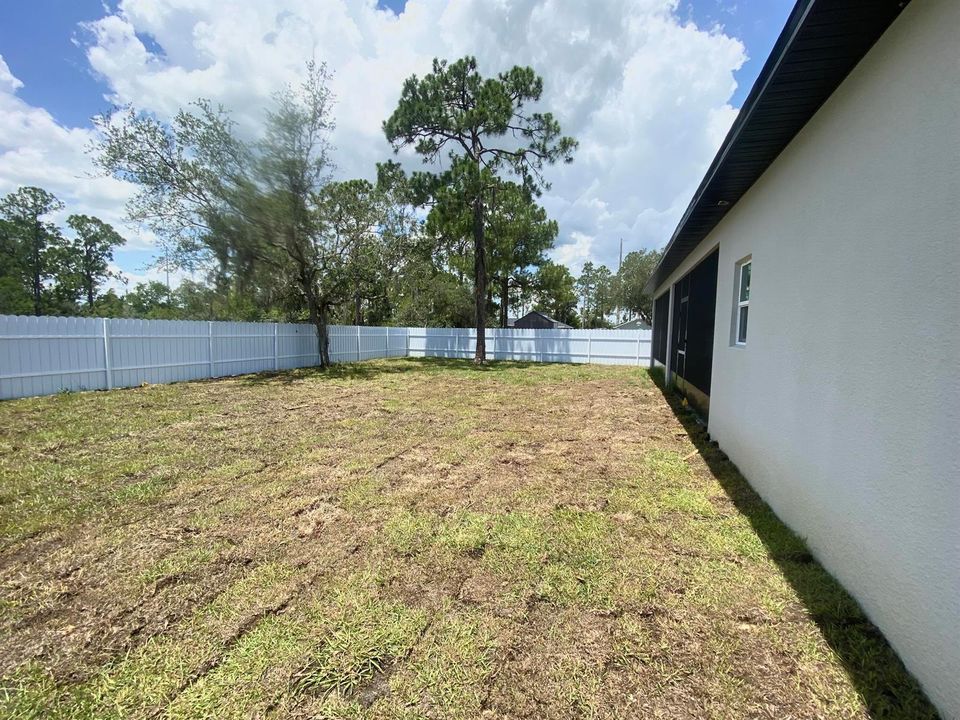 fenced back yard