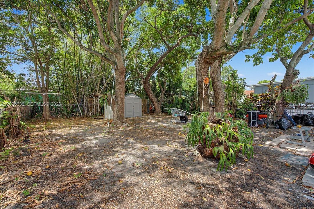 expansive backyard