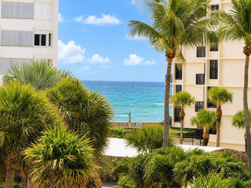 Ocean view