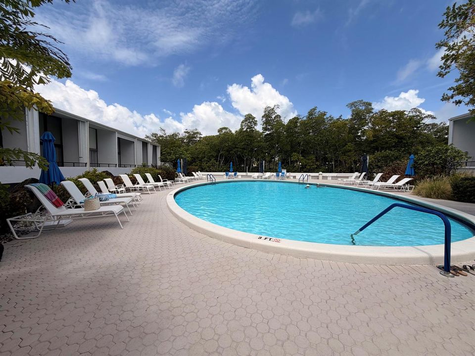 Pool 1