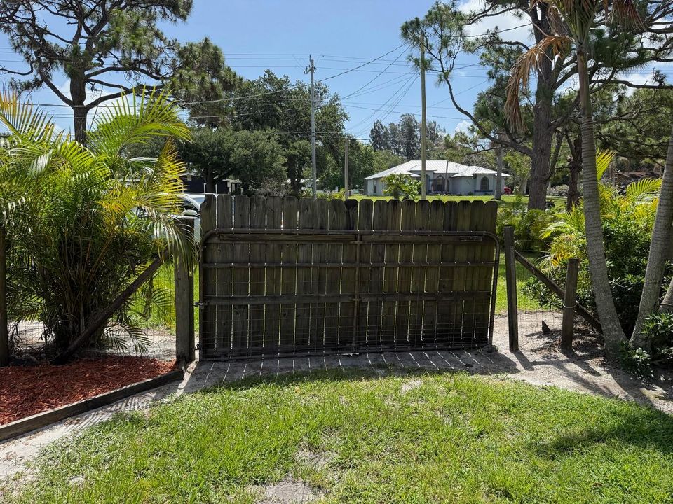 Back Yard