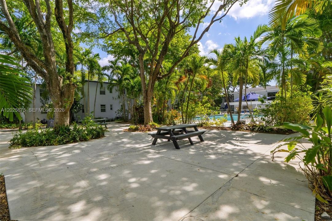 Courtyard shaded by lush tree canopies