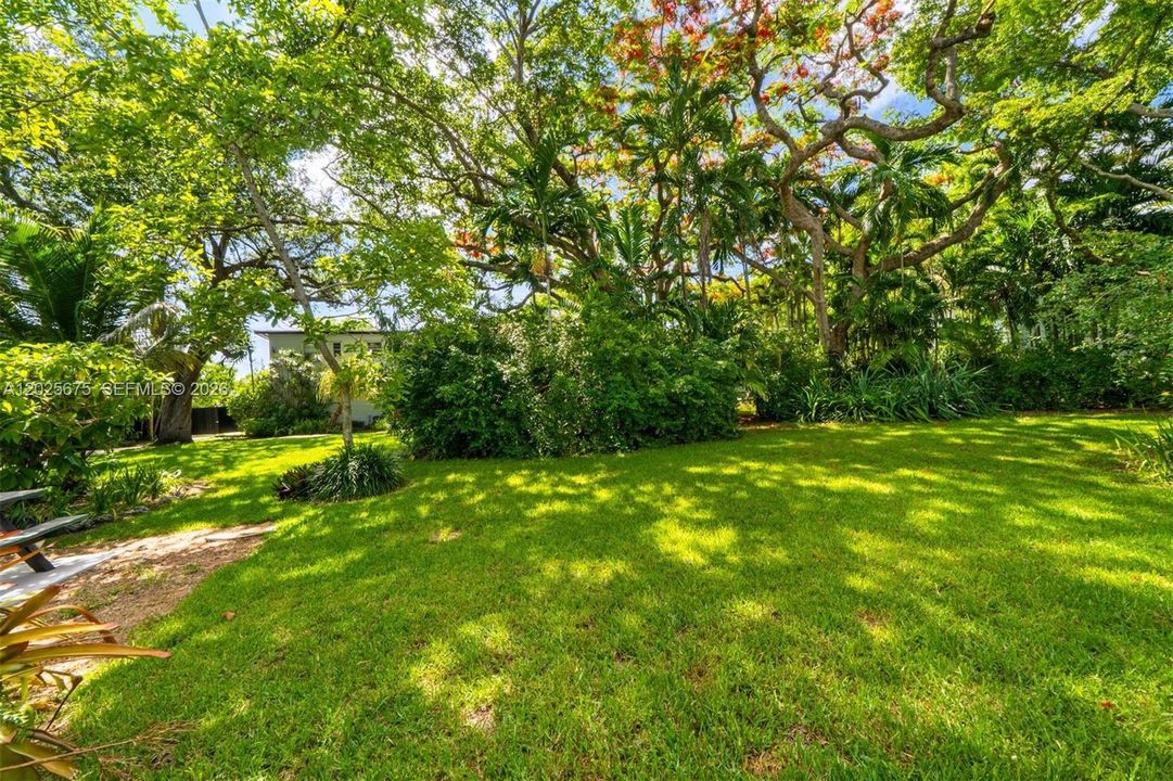 Lush greenery