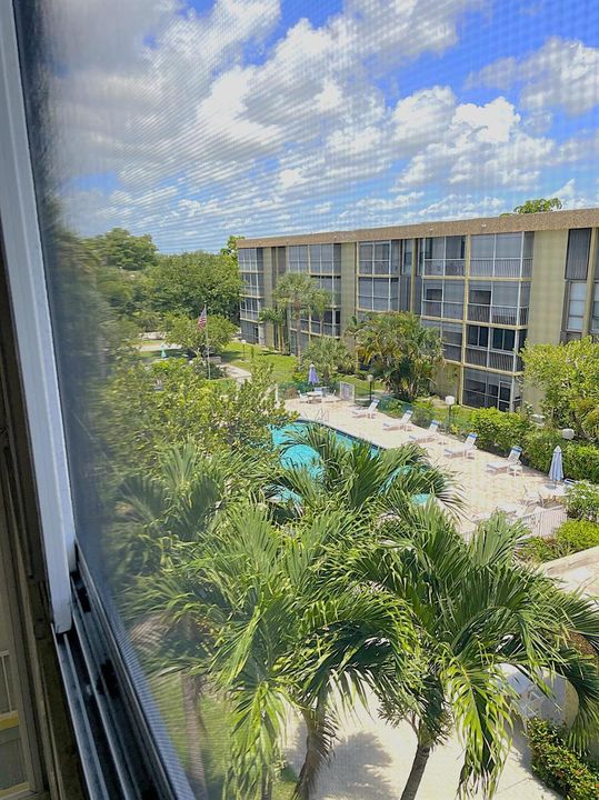 View from Balcony