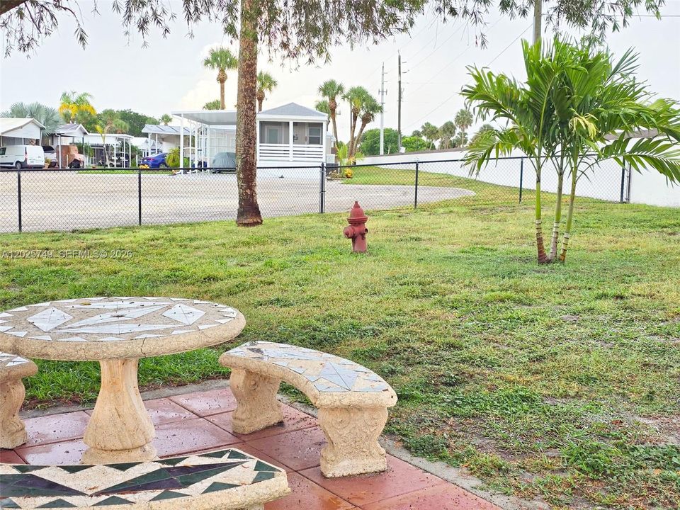 Dog Park