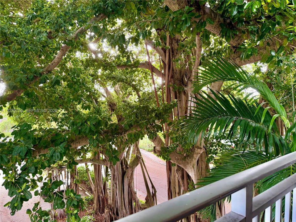 For Sale: $368,000 (2 beds, 1 baths, 926 Square Feet)