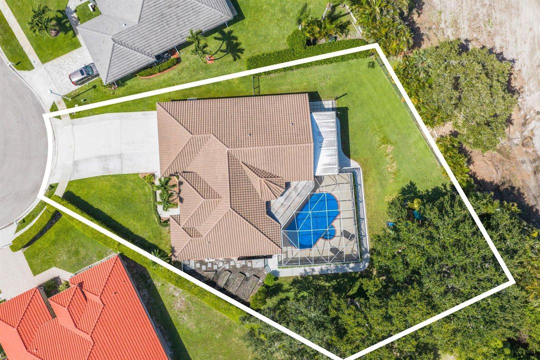Aerial Shot