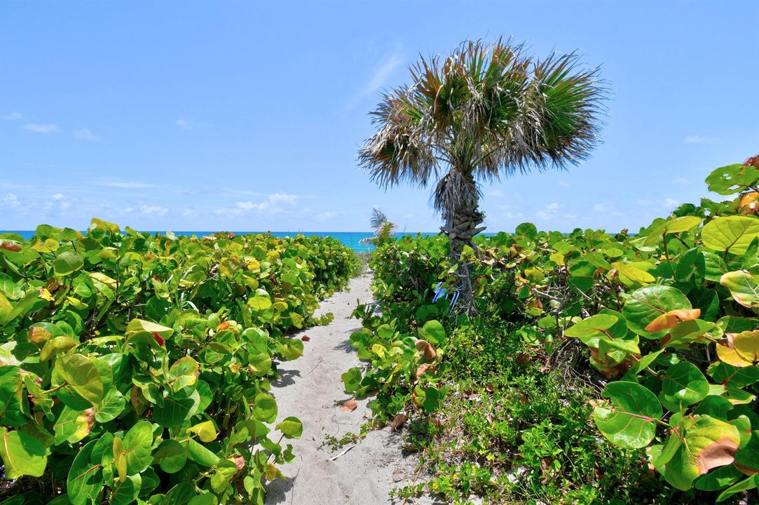 Beach View