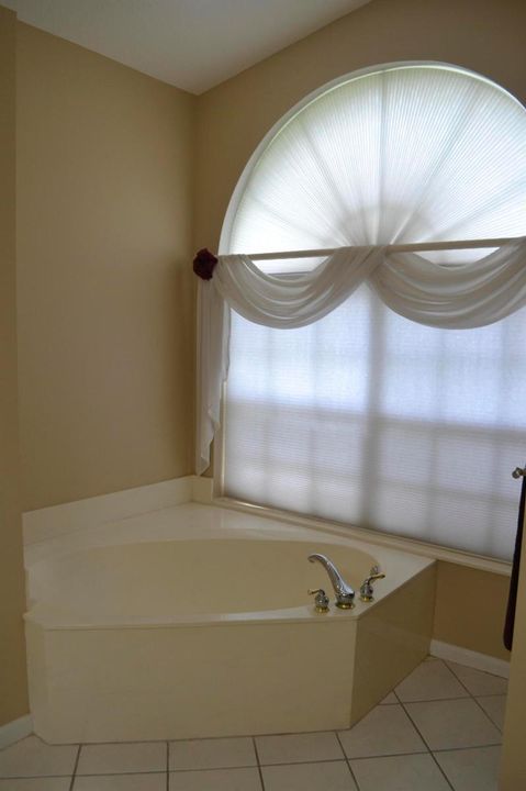 Master Bath Roman Tub