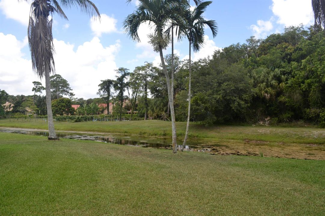 Canal Lot extra privacy