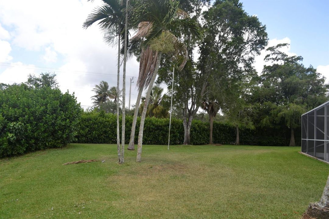 Back yard .39
