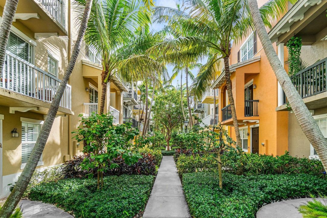 tropical neighborhood