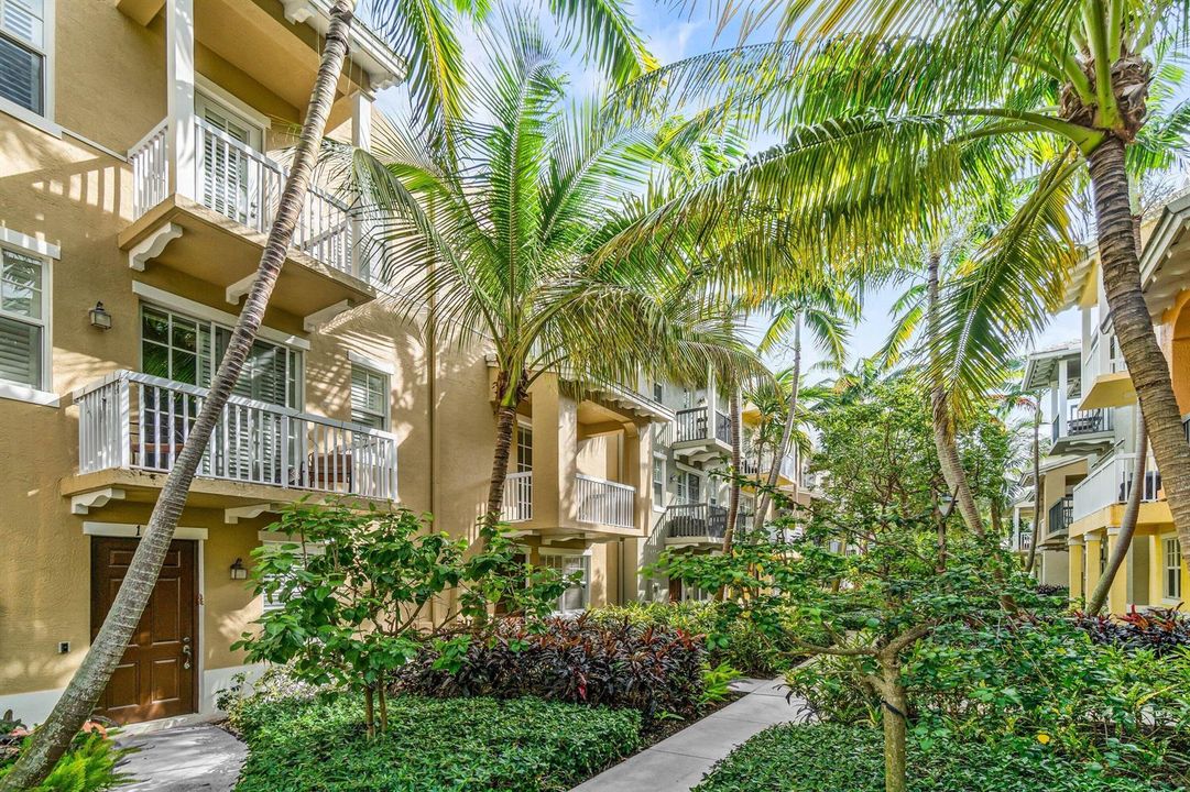 tropical neighborhood